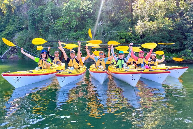 Sydney's Middle Harbour Sea Kayaking Eco Tour (Fully Guided) - Wildlife Talk and Ecosystem Lessons You Can Actually Use