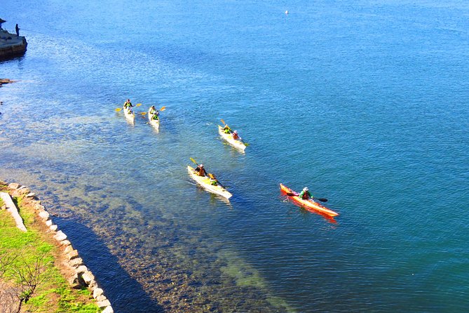 Sydney's Middle Harbour Sea Kayaking Eco Tour (Fully Guided) - How the Small Group (Max 12) Changes Your Trip