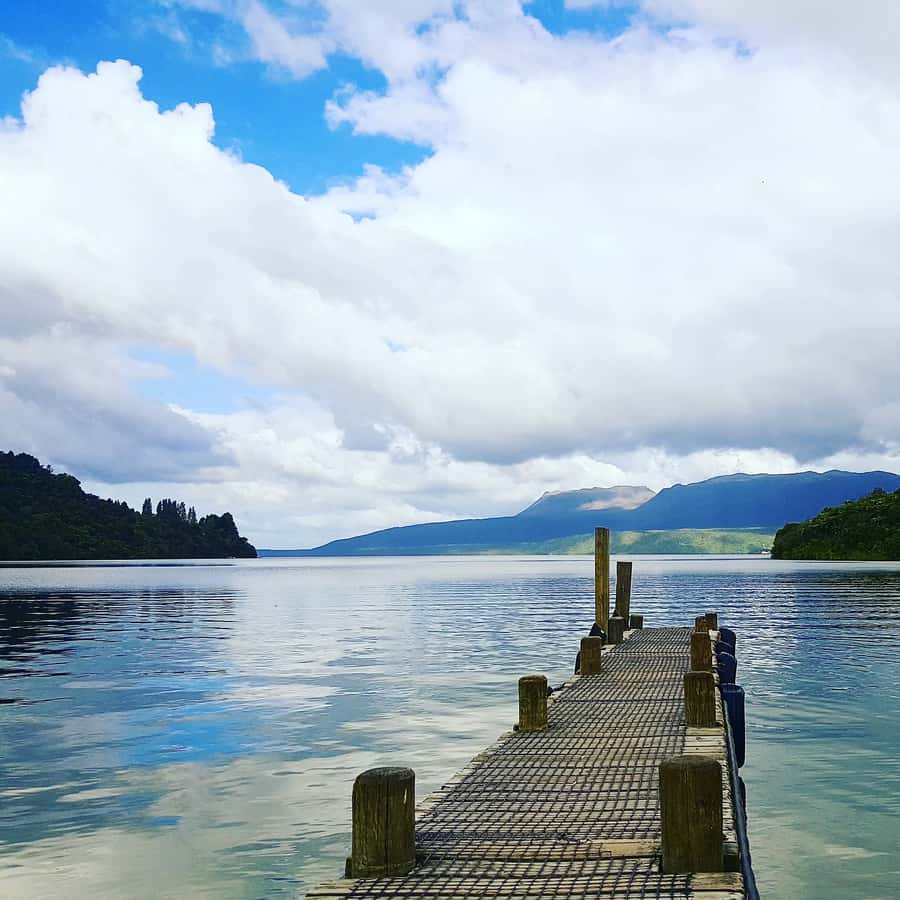 Tarawera and Lakes 2-Hour Duck Eco Tour - Rotokakahi (Green Lake) and Tikitapu (Blue Lake) to finish strong