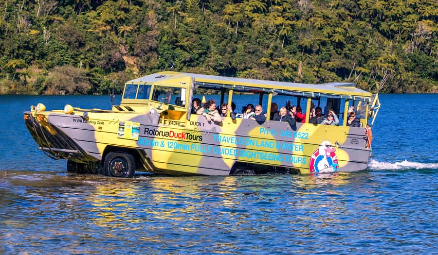 Tarawera and Lakes 2-Hour Duck Eco Tour - Price and value: why $65 feels fair for this format
