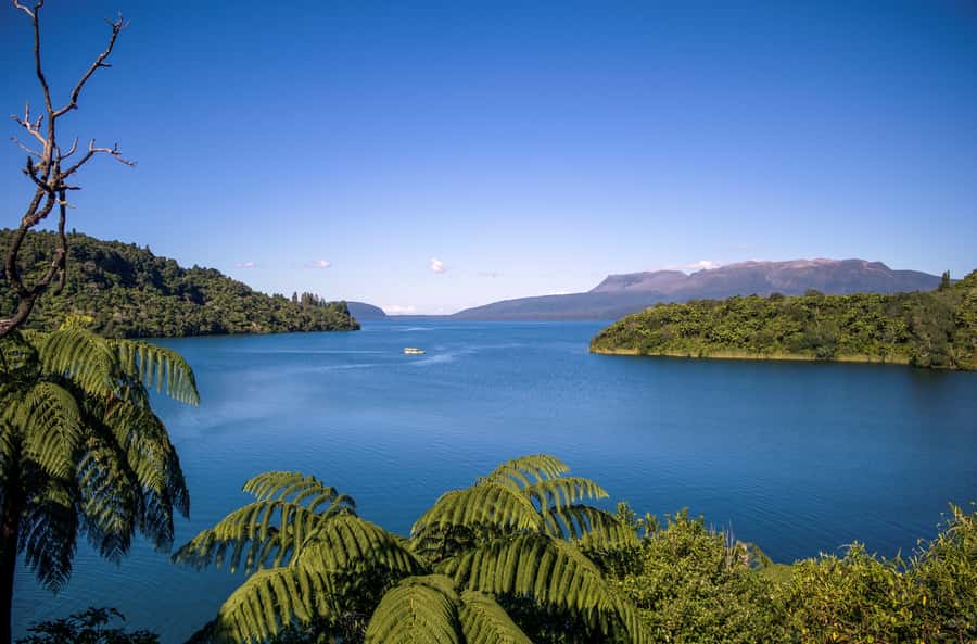 Tarawera and Lakes 2-Hour Duck Eco Tour - Meeting point in Rotorua: get set up for the ride