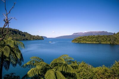 Tarawera and Rotorua Lakes Eco Tour by Boat with Guide - Meeting point: start at 1241 Fenton Street