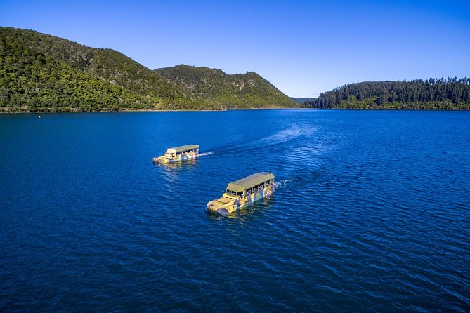 Tarawera and Rotorua Lakes Eco Tour by Boat with Guide - Stop-by-stop: from treewalk views to Lake Okareka