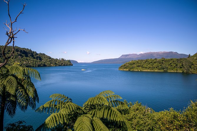 Tarawera and Rotorua Lakes Eco Tour by Boat with Guide - Meeting point: start at 1241 Fenton Street