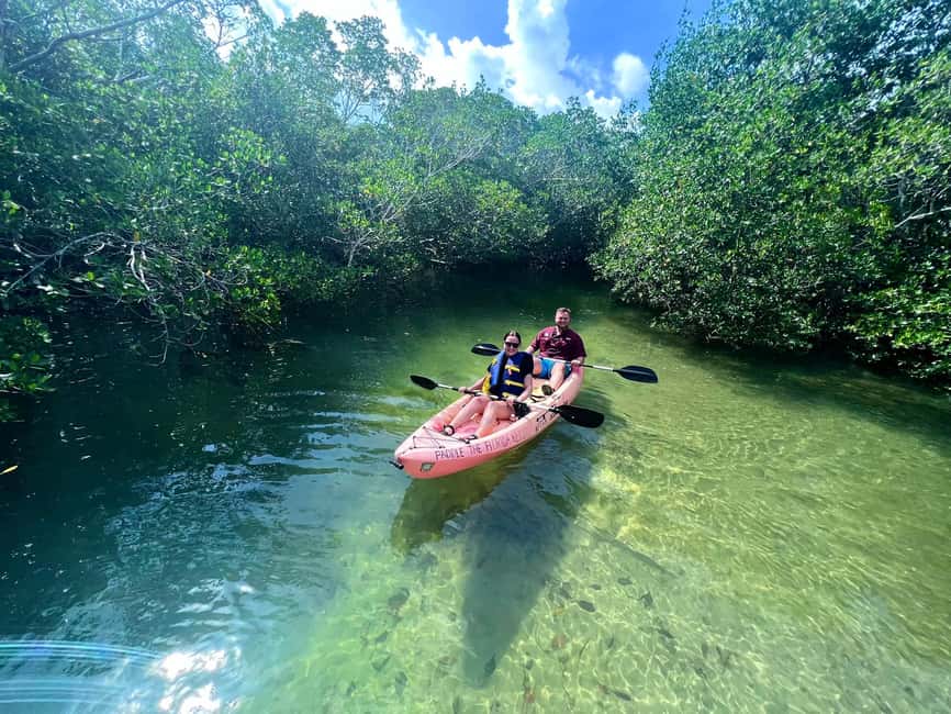 Tavernier, FL: Mangrove and Manatees Guided Kayak Eco Tour - Key things to know before you go