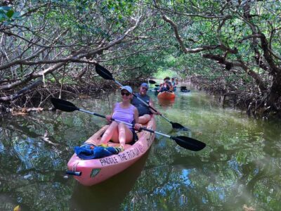 Tavernier, FL: Mangrove and Manatees Guided Kayak Eco Tour - 2 hours on the water: how the trip rhythm feels