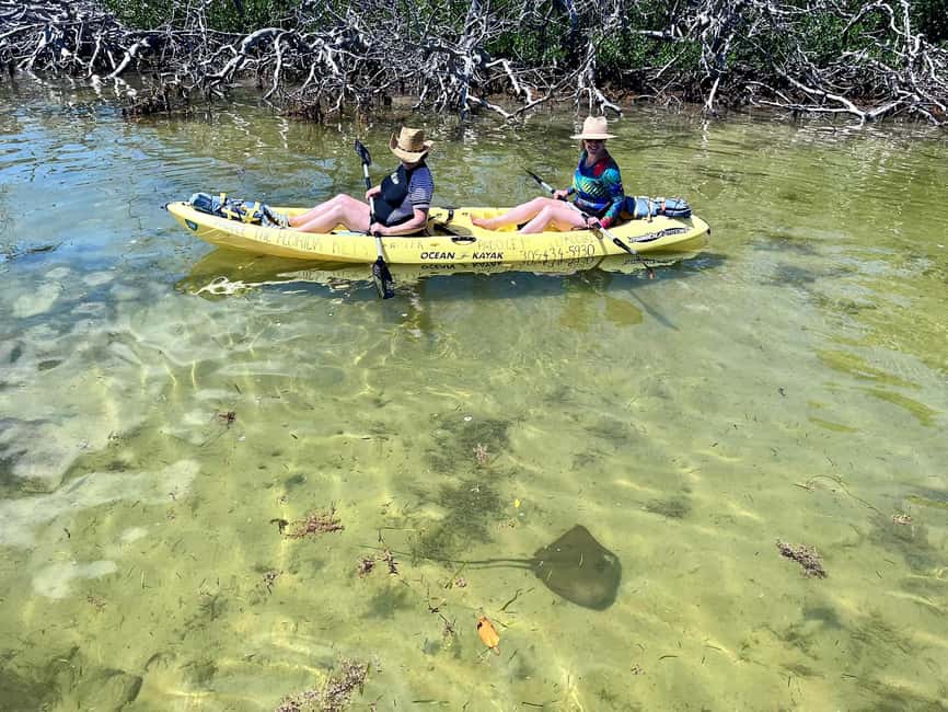 Tavernier, FL: Mangrove and Manatees Guided Kayak Eco Tour - The 15-minute safety briefing: the part you should take seriously