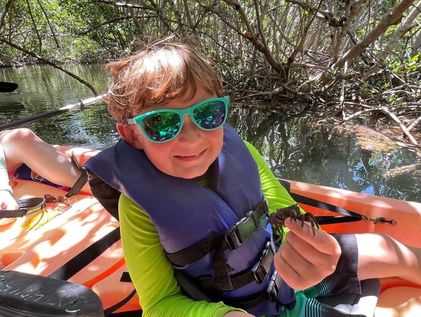 Tavernier, FL: Mangrove and Manatees Guided Kayak Eco Tour - Wildlife spotting here: manatees, birds, and sea turtles