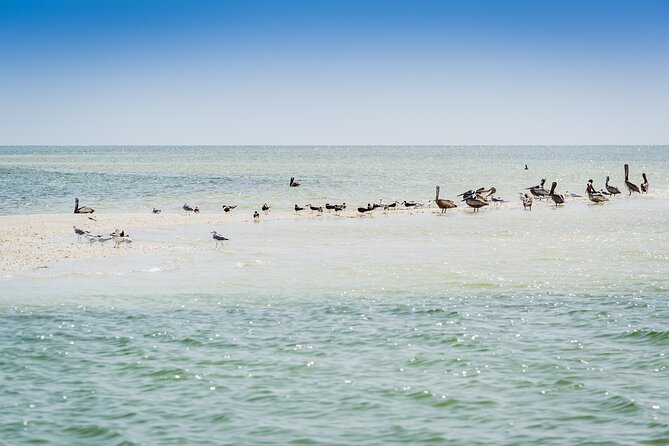 Ten Thousand Island Jet Ski Eco Tour - Marco Island - What It Feels Like: Speed vs. Control in the Ten Thousand Islands