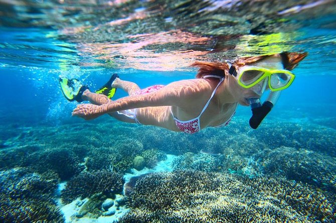 The Original Eco Tour Full-Day Around the Island of Sint Maarten - A Catamaran Day That Hits St. Maarten’s Best Water Moments