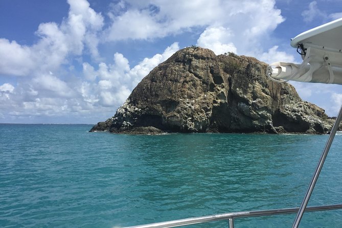The Original Eco Tour Full-Day Around the Island of Sint Maarten - Price and Value: What You Get for $149