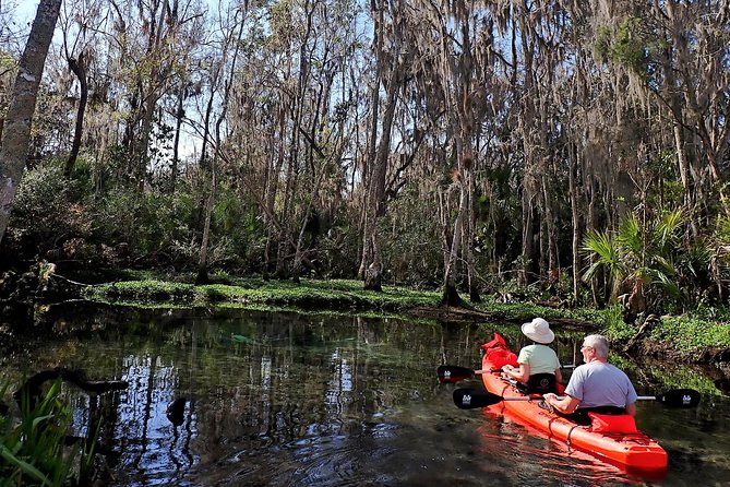 Three Sisters Springs Kayak And Swim Eco-Tour Crystal River - Quick hits