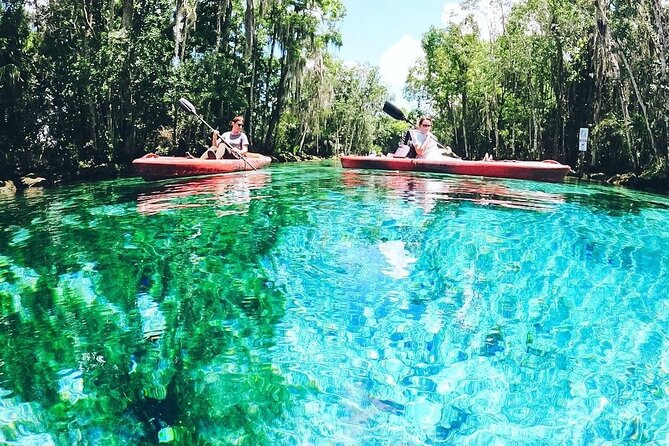 Three Sisters Springs Kayak And Swim Eco-Tour Crystal River - Clear Kayaking Tours check-in: the 30-minute rule that really matters
