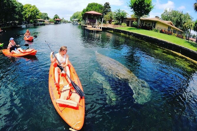 Three Sisters Springs Kayak And Swim Eco-Tour Crystal River - Eco-tour lessons: conservation that makes the trip feel purposeful