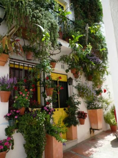 Torremolinos-Benalmádena: Jeep EcoTour - Authentic Andalusia - Optional Paella Lunch: What’s Included and What’s Extra