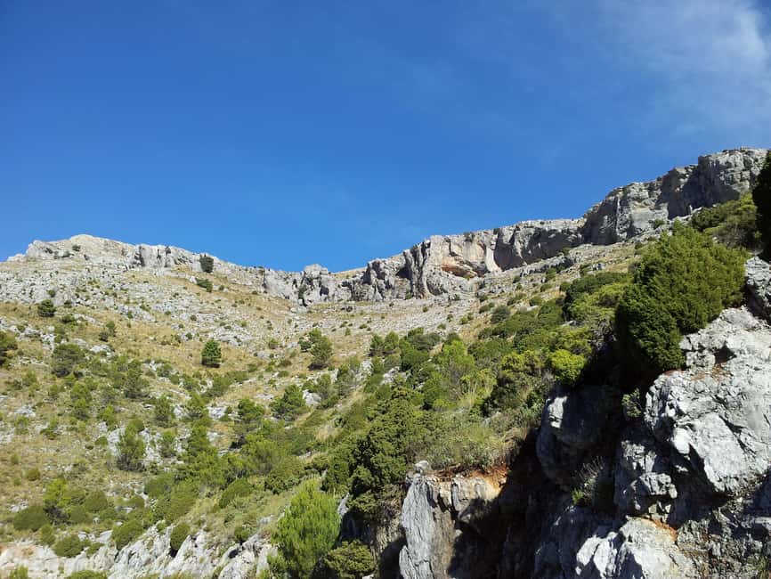 Torremolinos-Benalmádena: Jeep EcoTour - Authentic Andalusia - Price and Value: Is $145 a Smart Spend?