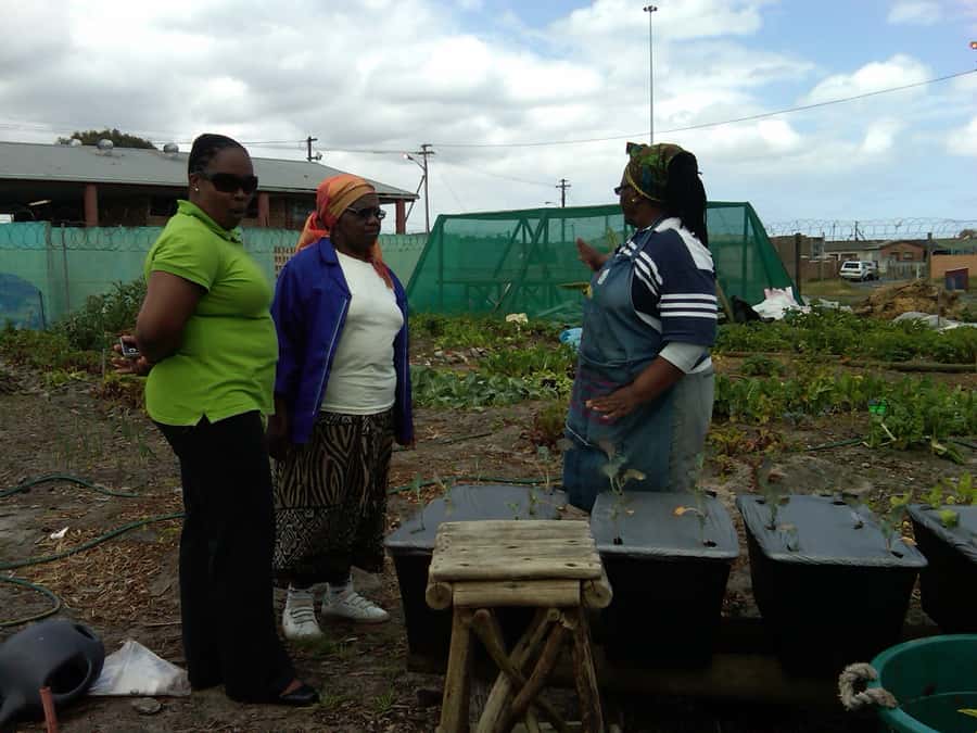 Township Eco Tour - Langa walking tour: learning the neighborhood through everyday details
