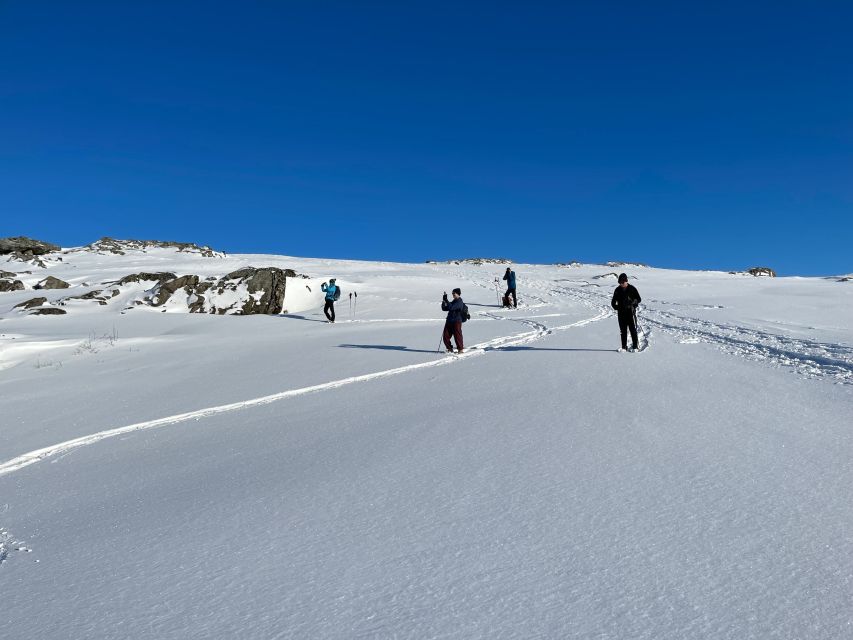 Tromso: Scenic & Eco-Friendly Snowshoeing Tour - Should you book this Tromsø eco-friendly snowshoeing tour?