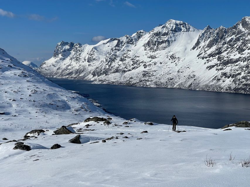 Tromso: Scenic & Eco-Friendly Snowshoeing Tour - Who should book this Tromsø snowshoe tour