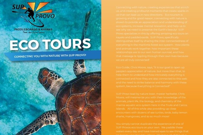 Turtle Eco Tour on Stand-Up Paddleboards or Kayaks into the National Marine Park - Mangroves, National Marine Park, and the turtle-and-ray route