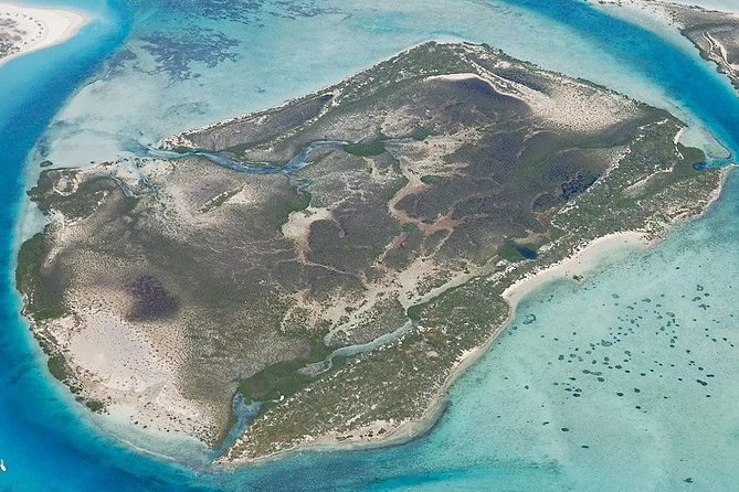 Turtle Eco Tour on Stand-Up Paddleboards or Kayaks into the National Marine Park - SUP versus kayak: choose based on how you want to see