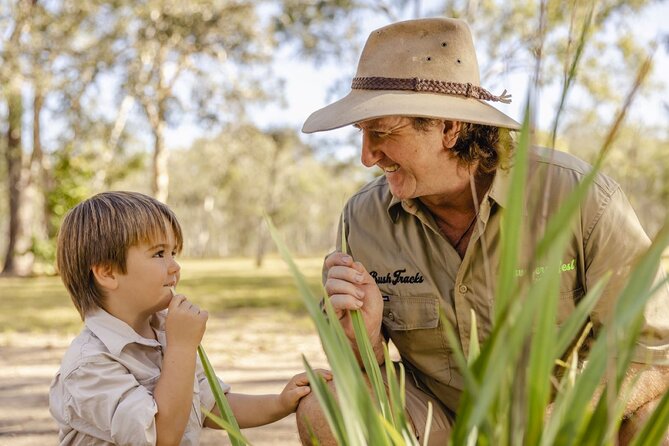 Unique and Personal BushTracks Eco Tour in Agnes Water 1770 - Key highlights