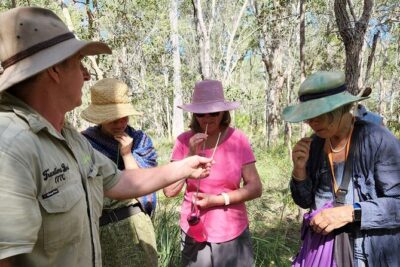 Unique and Personal BushTracks Eco Tour in Agnes Water 1770 - The boardwalk hour: bushtucker, bush medicine, mosaic burns, and wildlife cues