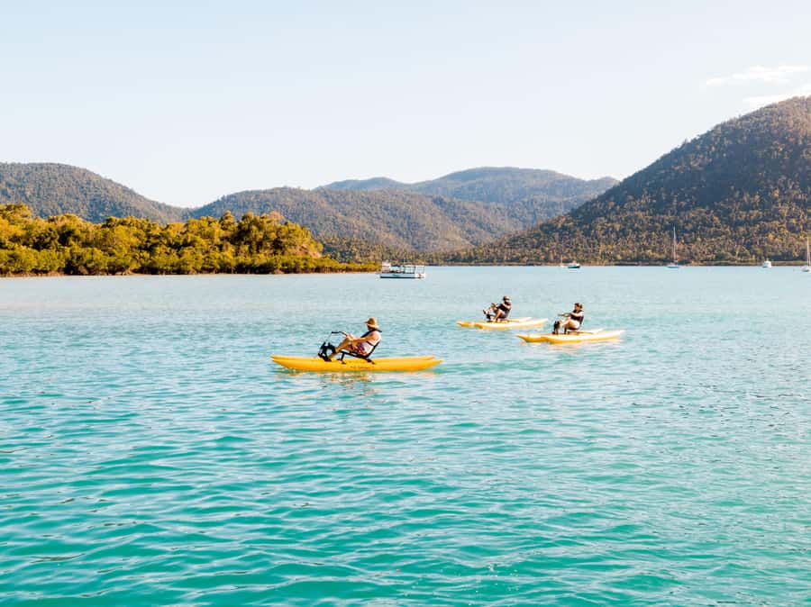 Whitsundays: Water Bike Eco-Tour with Guide - What you’ll see as you pedal past moored vessels and coral gardens