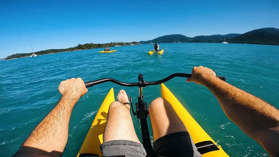 Whitsundays: Water Bike Eco-Tour with Guide - Mangroves on the Whitsundays coast: why these trees belong in your photos