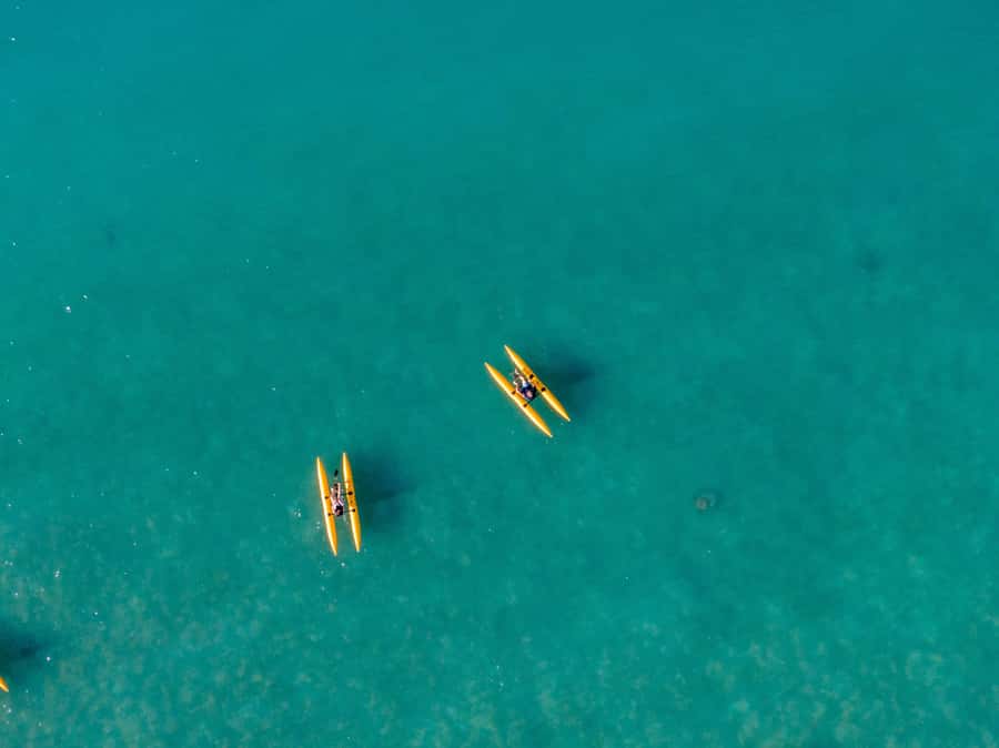 Whitsundays: Water Bike Eco-Tour with Guide - The 90 minutes that actually feel worth your time