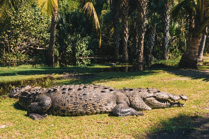 Wildlife Eco Tour on the coast of Oaxaca. - Key things to know before you go