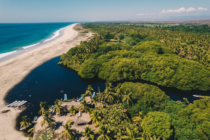 Wildlife Eco Tour on the coast of Oaxaca. - Why This Huatulco Wildlife Tour Feels Like Real Oaxaca Coast Time