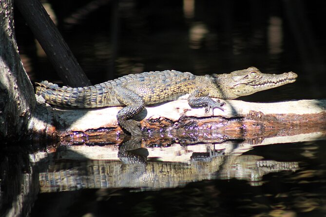Wildlife Eco Tour on the coast of Oaxaca. - How Long It Really Takes, and Why It Can Feel Like a Long Day