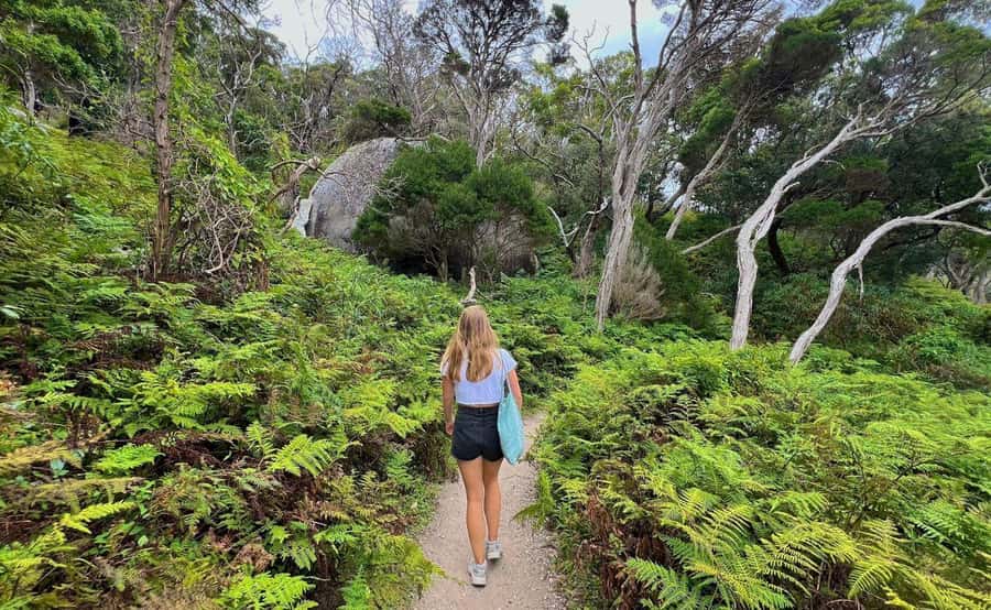 Wilson's Promontory National Park Eco Tour From Melbourne - Squeaky Beach and the coastal walks: iconic, but don’t overpack