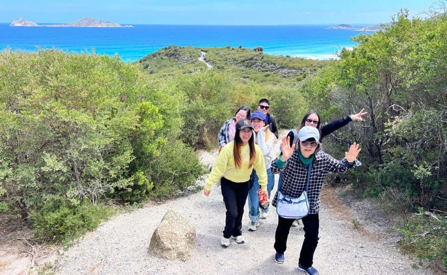Wilson's Promontory National Park Eco Tour From Melbourne - Wildlife Walk near the historic airfield: spotting animals the respectful way