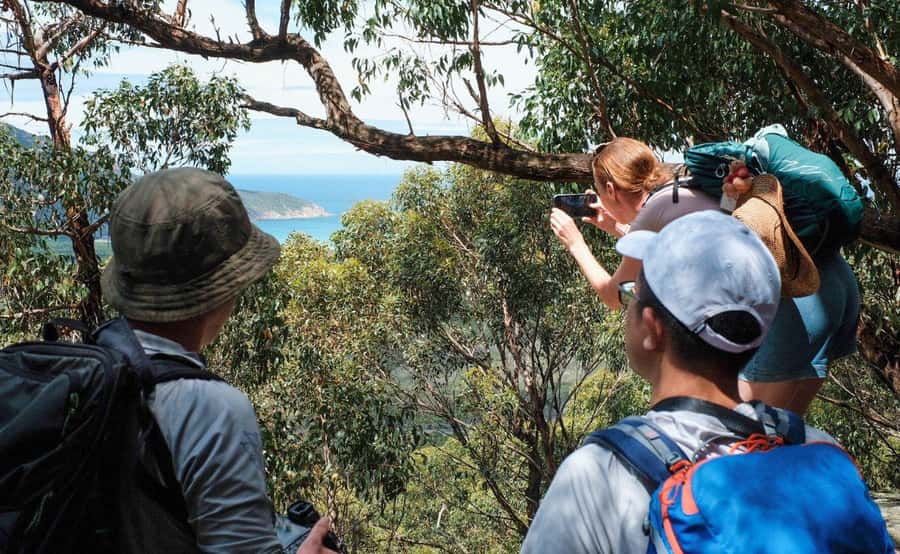 Wilson's Promontory National Park Eco Tour From Melbourne - Audio guide in 16 languages plus onboard Wi‑Fi