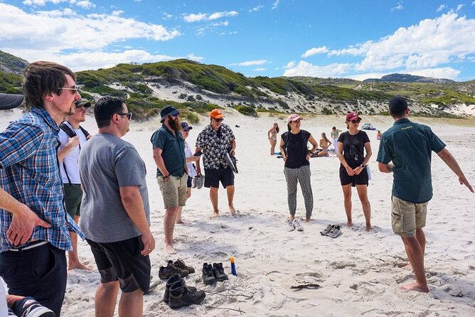 Wilson's Promontory Small Group Eco Tour from Melbourne - Squeaky Beach: The Sand That Makes Noise and the Coastal Reset You Need