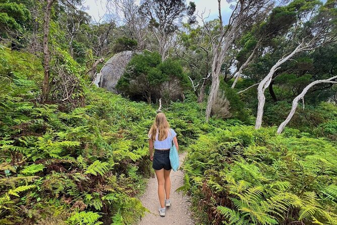 Wilson's Promontory Small Group Eco Tour from Melbourne - Wildlife Stroll at the Former Airfield: Where Dusk Can Do Its Magic