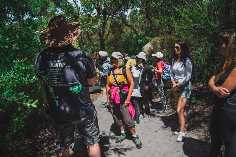 Wilsons Promontory National Park Full-Day Eco Tour - Lilly Pilly Gully wildlife walk: birds, marsupials, and quiet paths
