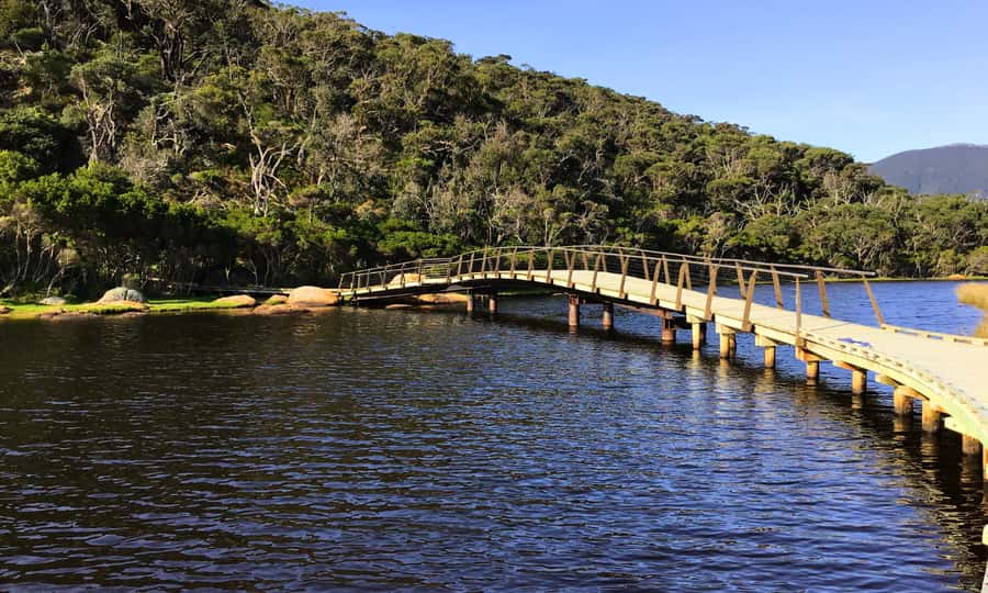 Wilsons Promontory National Park Full-Day Eco Tour - What to pack for a Wilsons Promontory day (and what you can’t bring)